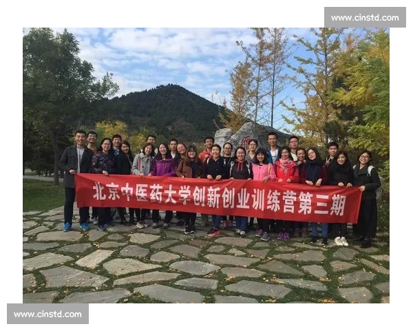 以综合训练为核心推动全面发展,提升个人素质与能力的创新路径探索